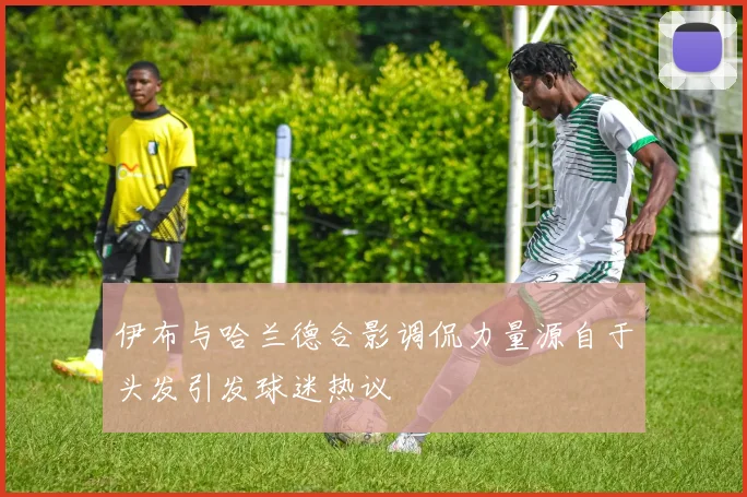 伊布与哈兰德合影调侃力量源自于头发引发球迷热议