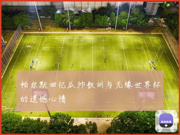 帕尔默回忆瓜帅教训与无缘世界杯的遗憾心情