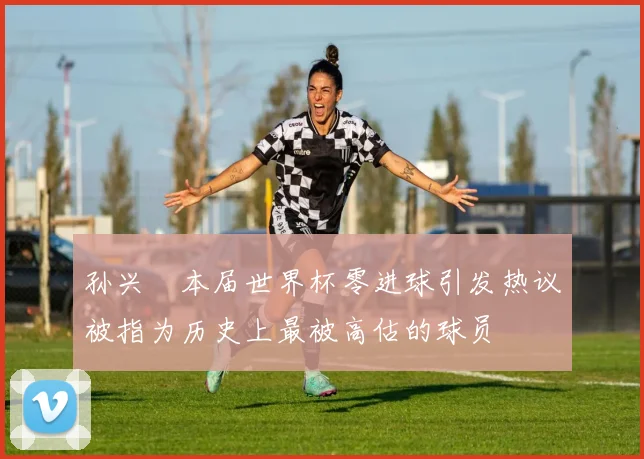 孙兴慜本届世界杯零进球引发热议被指为历史上最被高估的球员